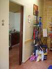 Artigos disp�niveis: champ�s, brinquedos,escovas, etc.