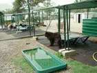 A mini-piscina 