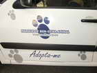 TaxiDog