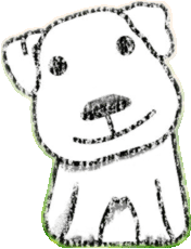 cute dog