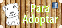 Adoptar